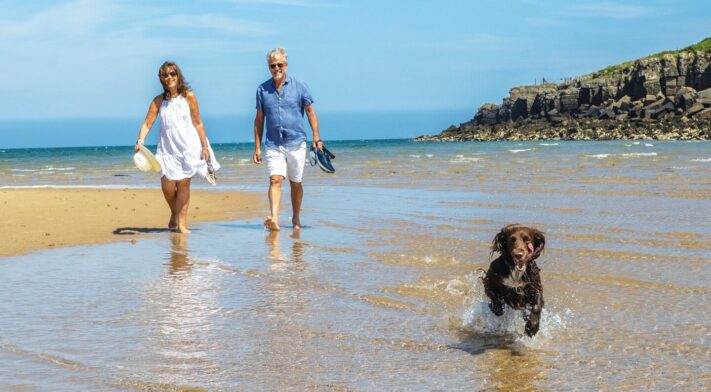 Silver Bay Holiday Home Ownership, Dog Friendly Beach