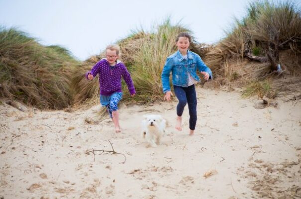 Doggo Friendly Beach at Silver Bay Anglesey