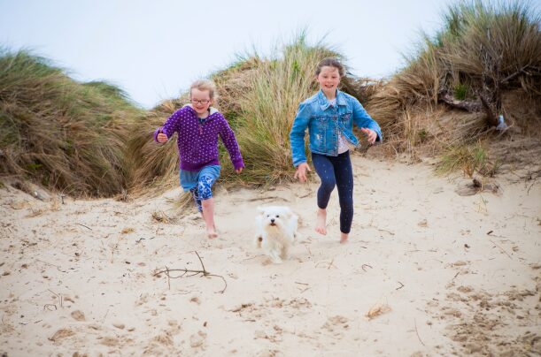Doggo Friendly Beach at Silver Bay Anglesey